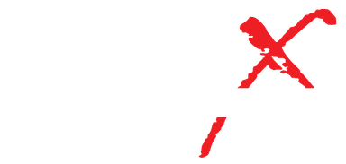 GOBI X logo