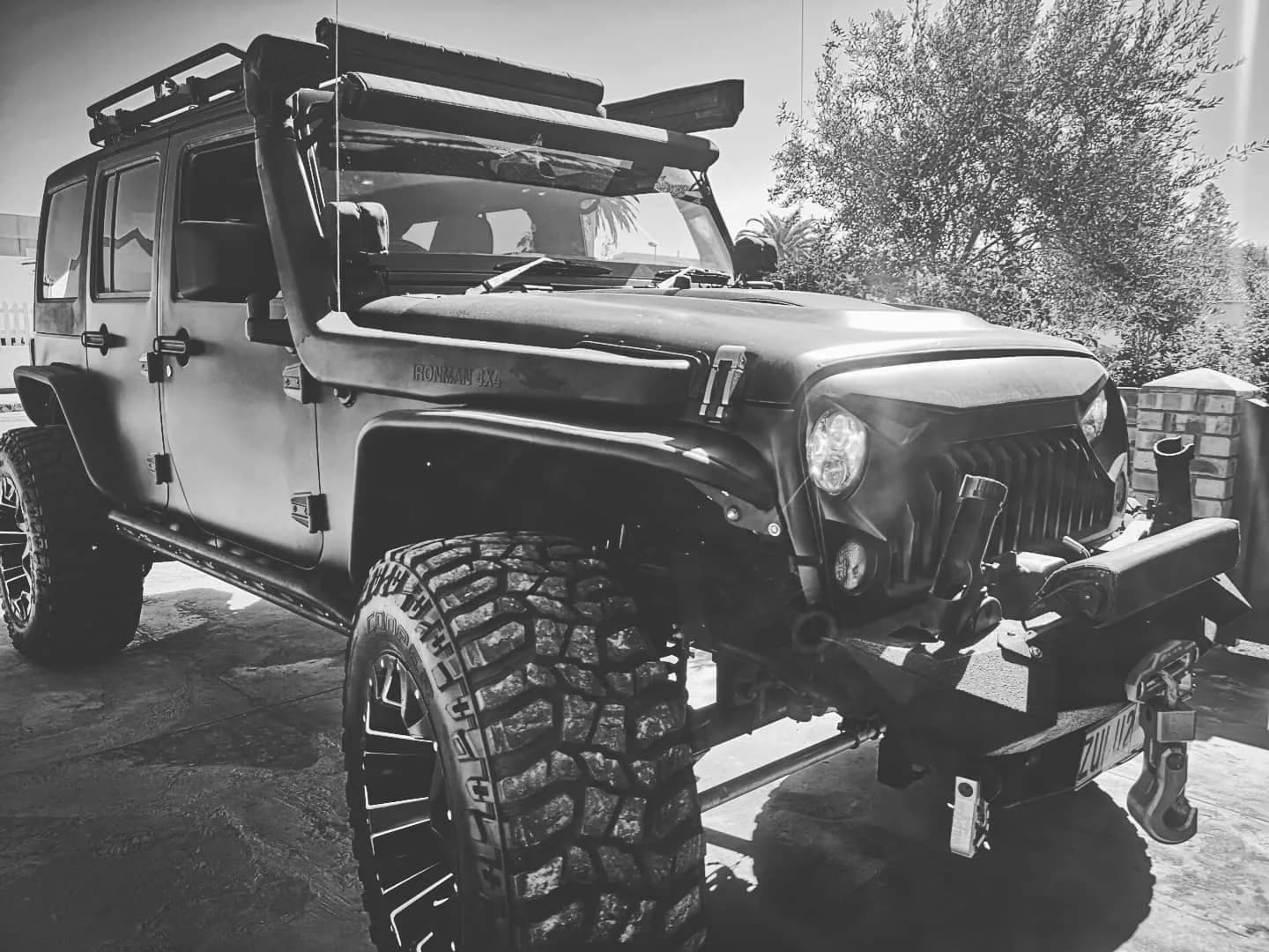 Safari Nights